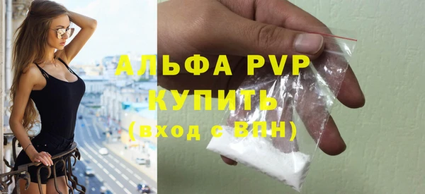 стаф Козельск