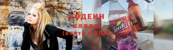 метадон Кодинск