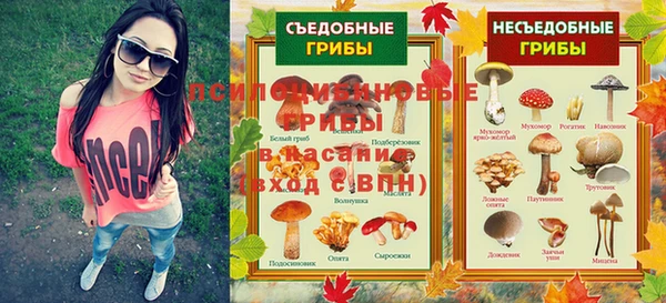 спайс Козловка