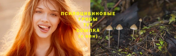 метадон Кодинск