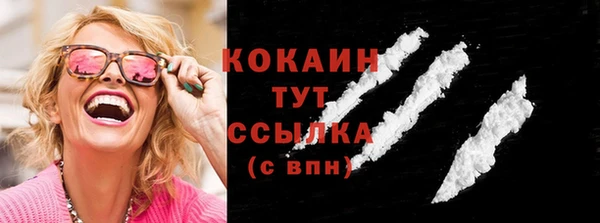 стаф Козельск
