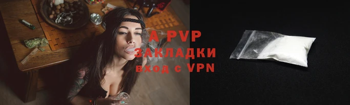 стаф Козельск