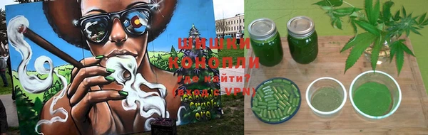 стаф Козельск