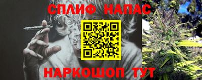 jwh Ставрополь