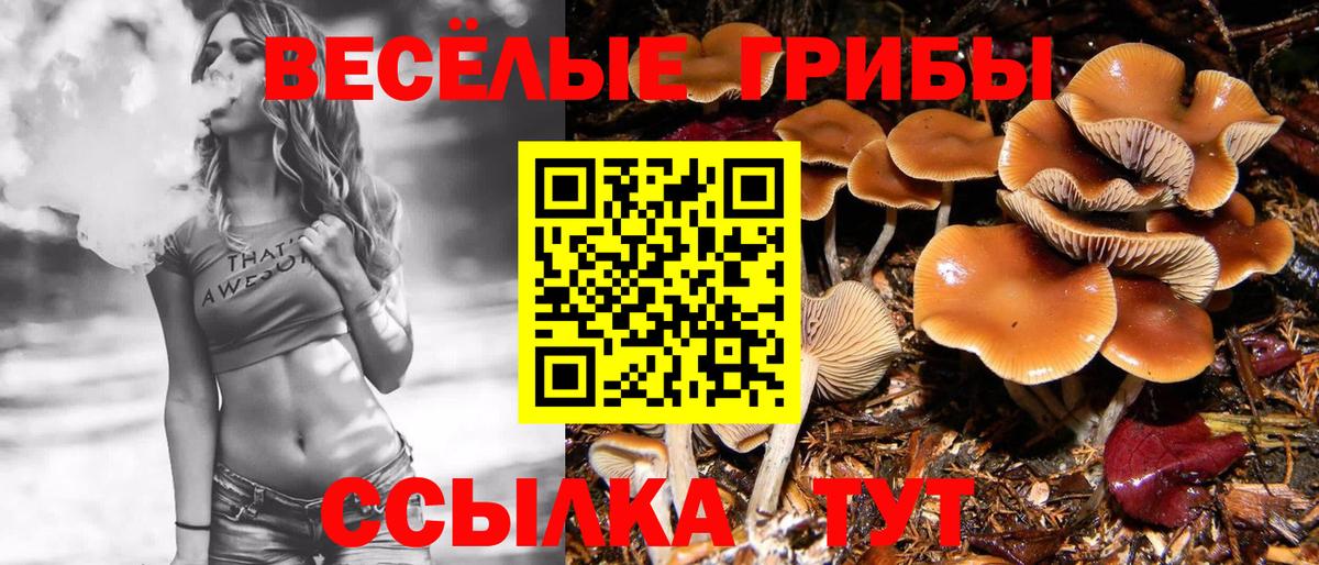 COCAIN  ГАШ  Вход с VPN  Меф МЯУ МЯУ   Мирный  Марихуана  КЕТАМИН  LSD-25 