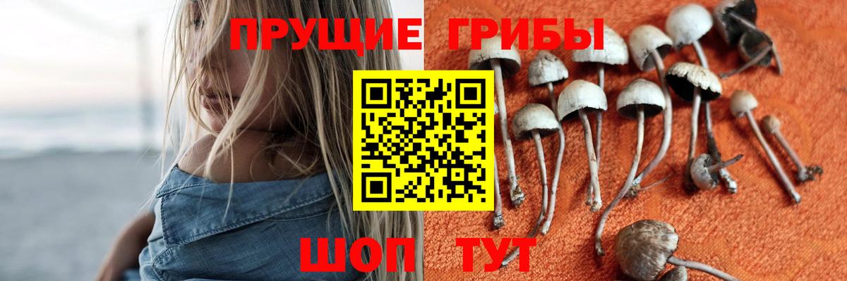 Псилоцибиновые грибы мицелий Мирный