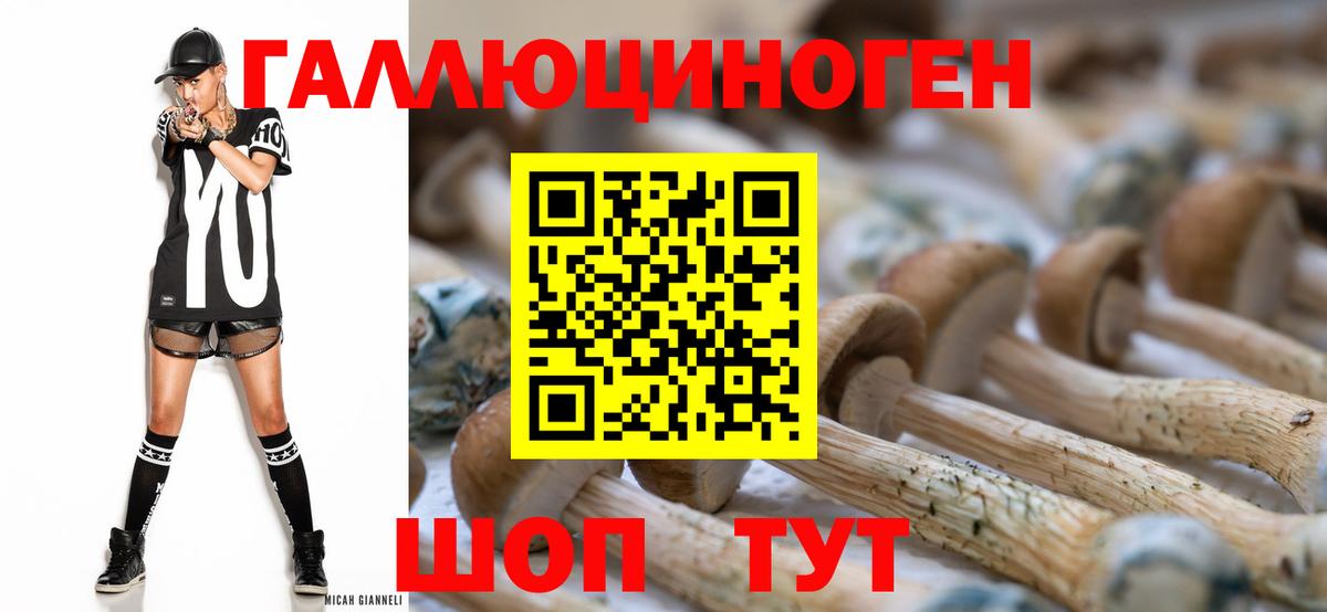 Мирный  Псилоцибиновые грибы мицелий  купить наркотик  Вход с VPN 